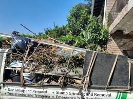 Property Management Cleanouts in Shepherd, TX